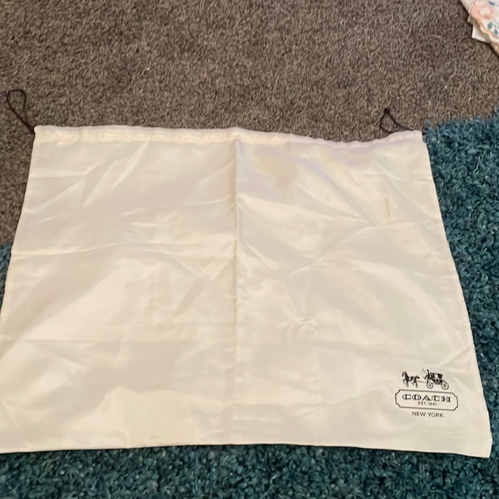 Coach drawstring silk bag